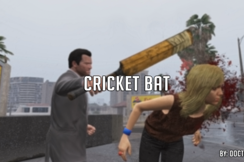 Cricket Bat: A Guide